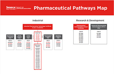 Explore our part-time pharmaceutical programs pathway